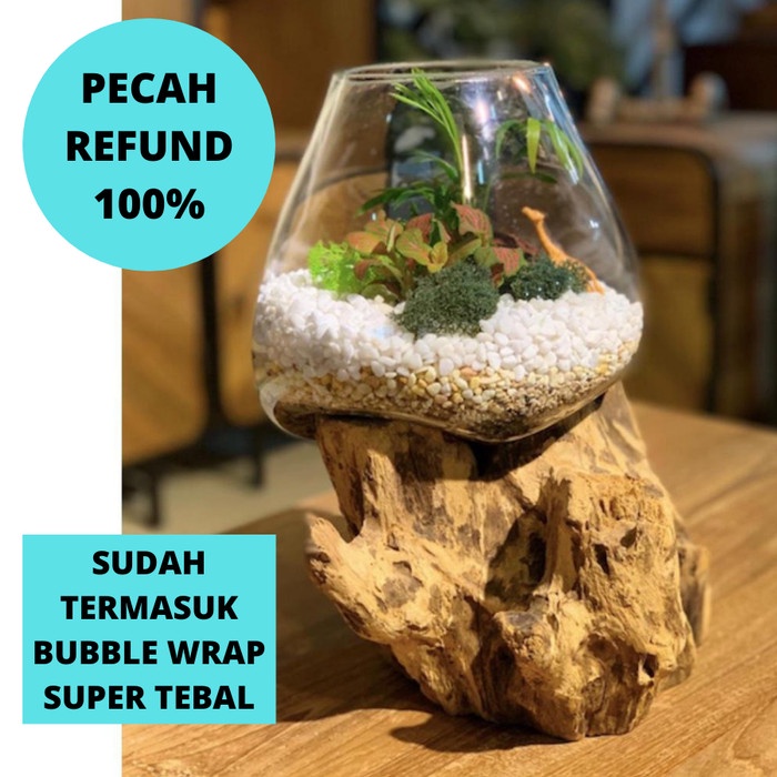 AKUARIUM IKAN CUPANG - SIZE L / AQUASCAPE / AQUARIUM UNIK GLASSWOOD