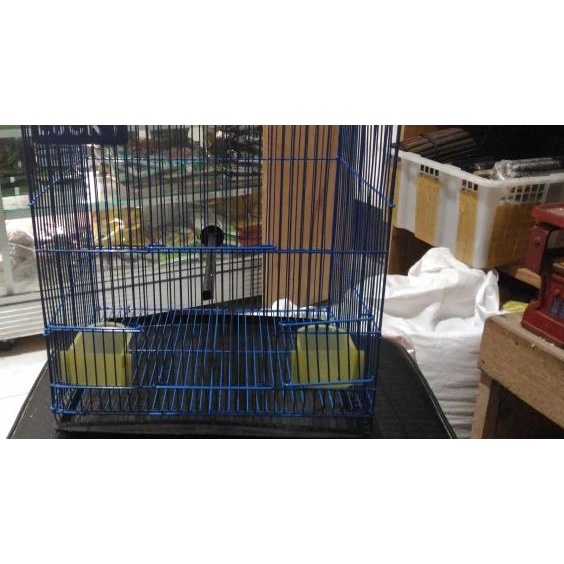 kandang kotak kecil lovebird