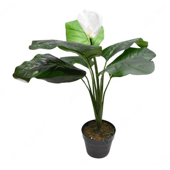 Tanaman Artifisial Spathe Dengan Pot 60x60x70 Cm