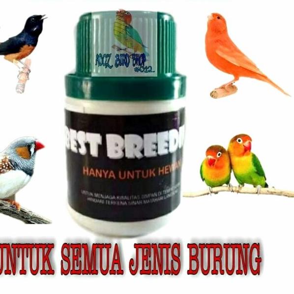 BEST BREEDING