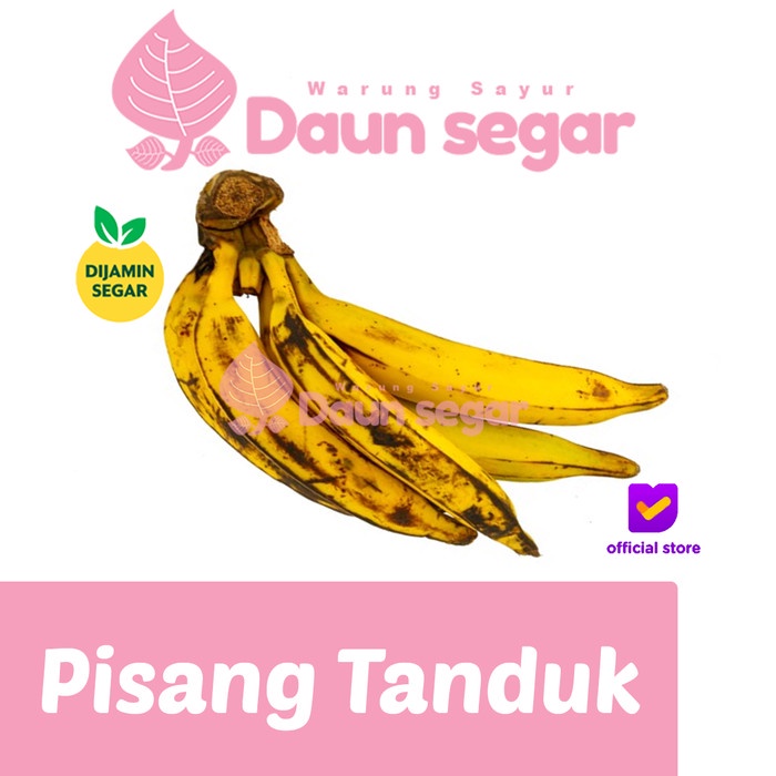 

Pisang Tanduk Super Fresh Per Buah Segar