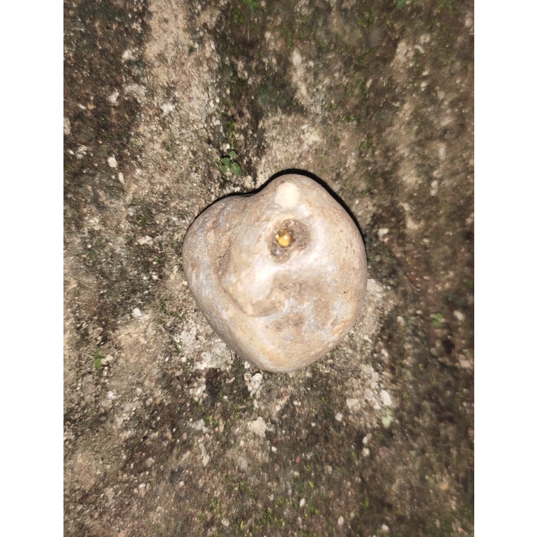 batu mustika tapa sir alam asli temuan sepuh antik pusaka pamor langka jadul kuno