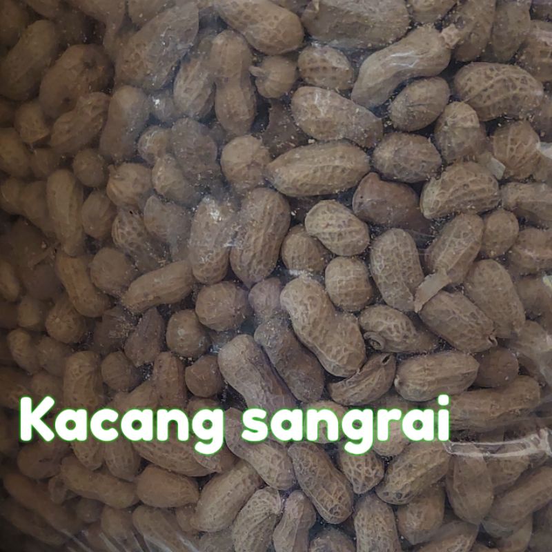 

Kacang Sangrai 250 gram Kacang Kulit