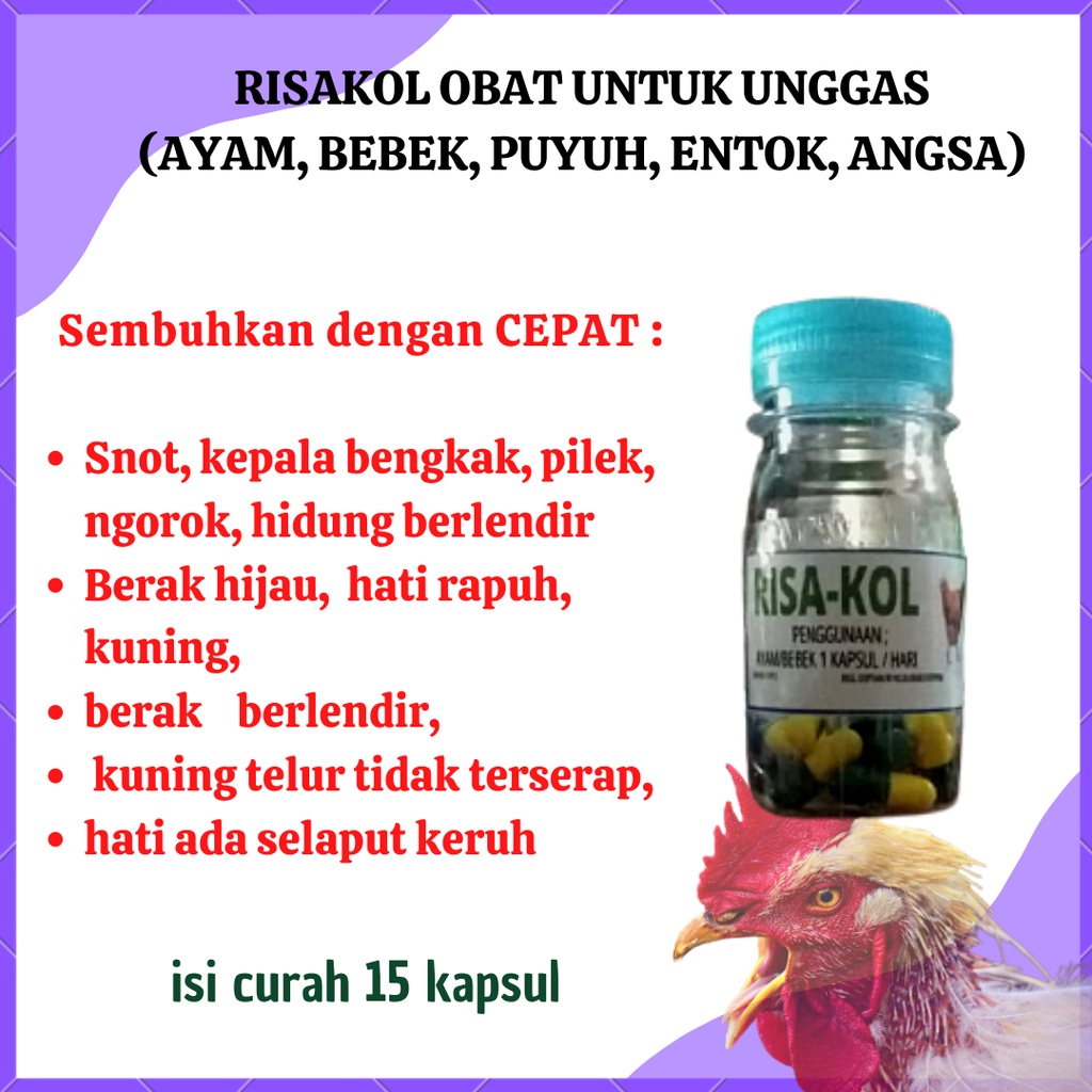 RISAKOL OBAT AYAM BEBEK SNOT PILEK NGOROK BERAK HIJAU KEPALA BENGKAK