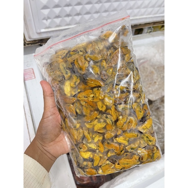 

daging kerang hijau HANYA UNTUK INSTAN KURIR