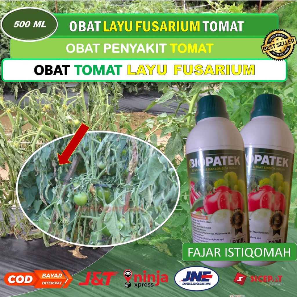 PROMO BIOPATEK fungisida hayati obat layu fusarium tomat (500 ML) - obat layu fusarium pada tomat - 