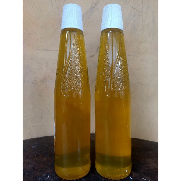 

MADU LEBAH HUTAN KOMRING