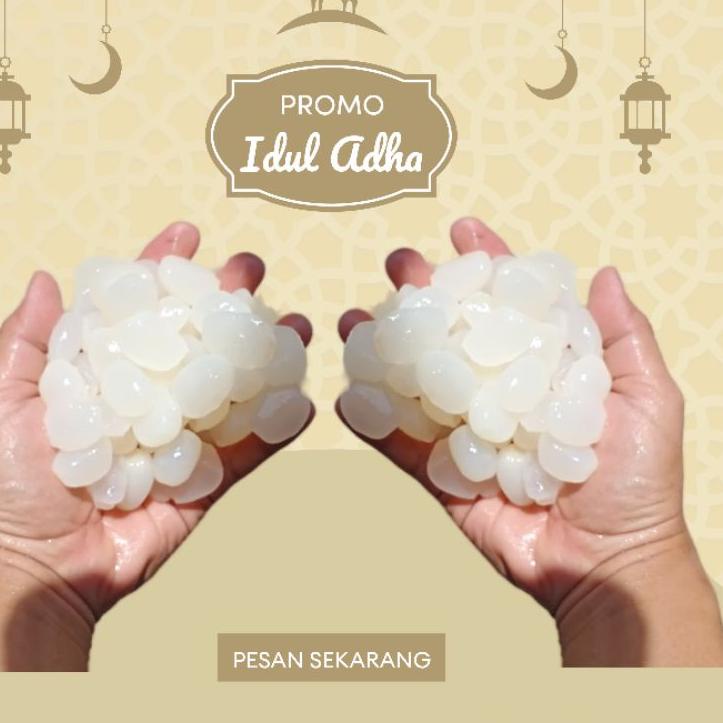 

ㅰC KOLANG KALING MENTAH 1KG Kolang Kaling Organik MANISAN KOLANG KALING SIAP KIRIM 3896 ✤