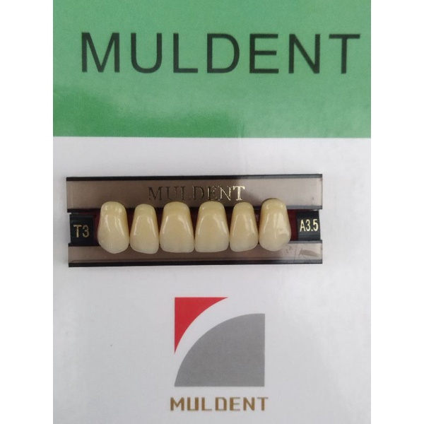 GIGI PALSU / GIGI MULDENT - DEPAN ATAS / PER BARIS ISI 6PCS / UKURAN T3 : A3.5