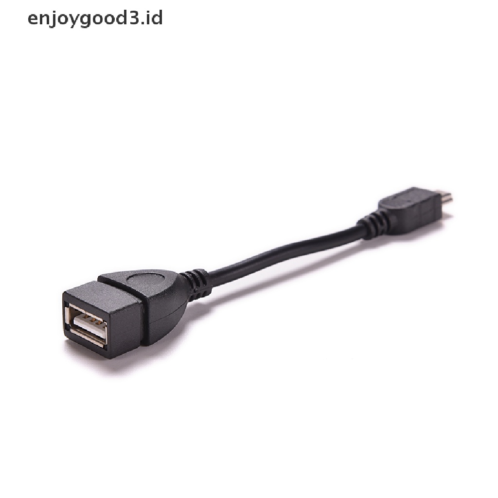 Kabel Adapter Mini 5p Male Ke USB 2.0 Tipe A Female Jack OTG Host