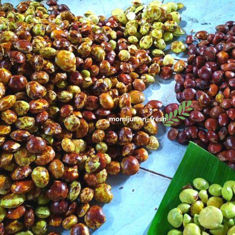 

Jengkol Tua Tuwir Fresh Seger 500gr