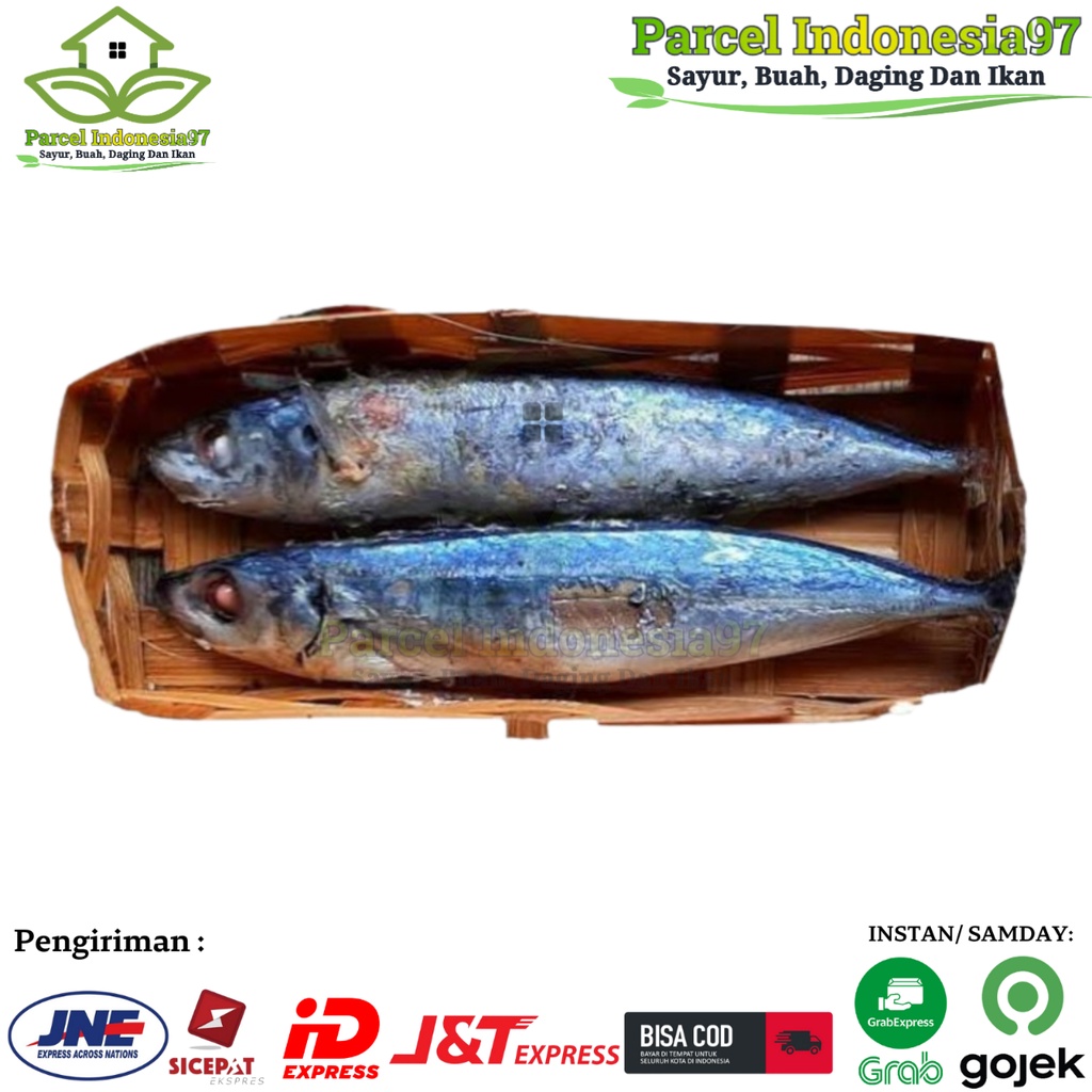 

Pindang ikan Salem per ekor