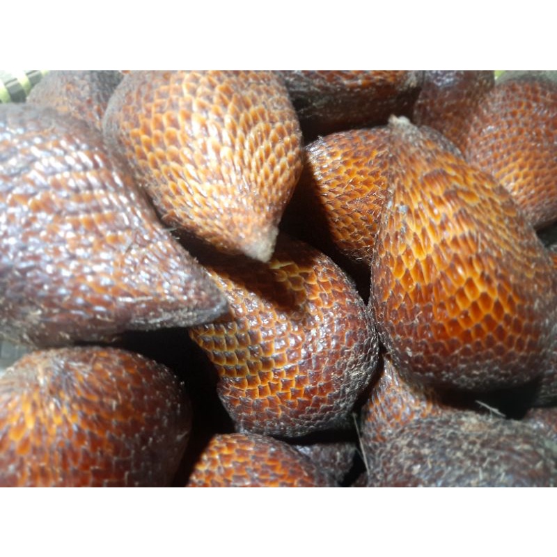 

Buah Salak