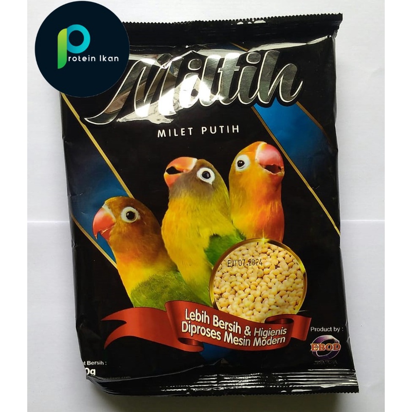 MILTIH PAKAN LOVEBIRD EBOD MILTIH MILET PUTIH / MILTIH