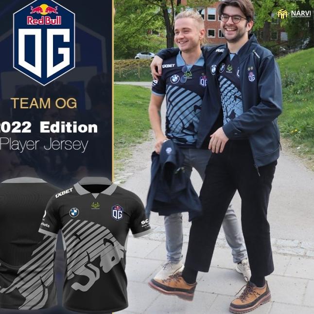 Jersey Team OG Redbull Gray - M