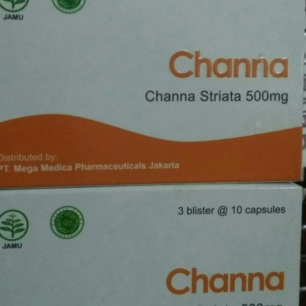 channa striata 500mg ekstrak ikan gabus
