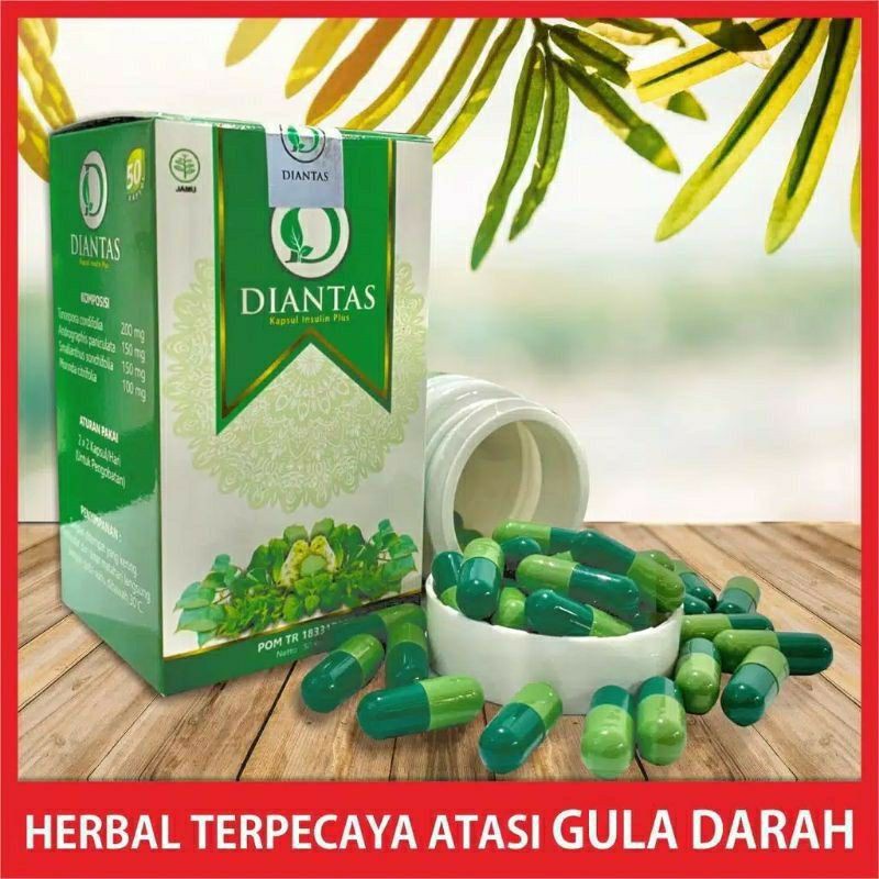 DIANTAS OBAT HERBAL DIABETES TURUNKAN GULA DARAH SAMPAI TUNTAS