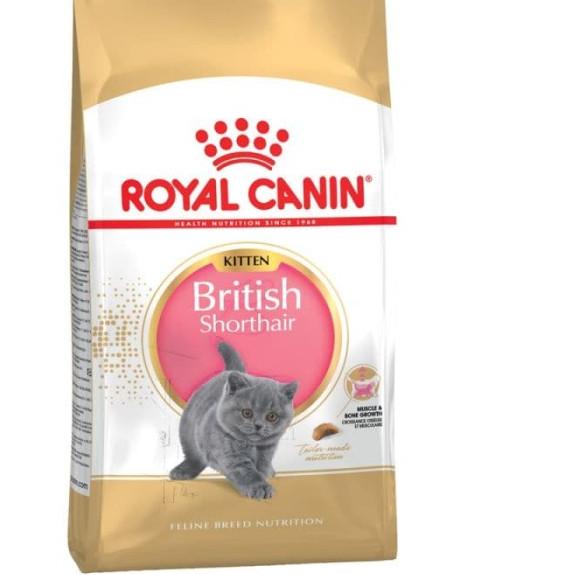 ROYAL CANIN BRITISH SHORTHAIR KITTEN 400GR / BRITISH SHORTHAIR KITTEN