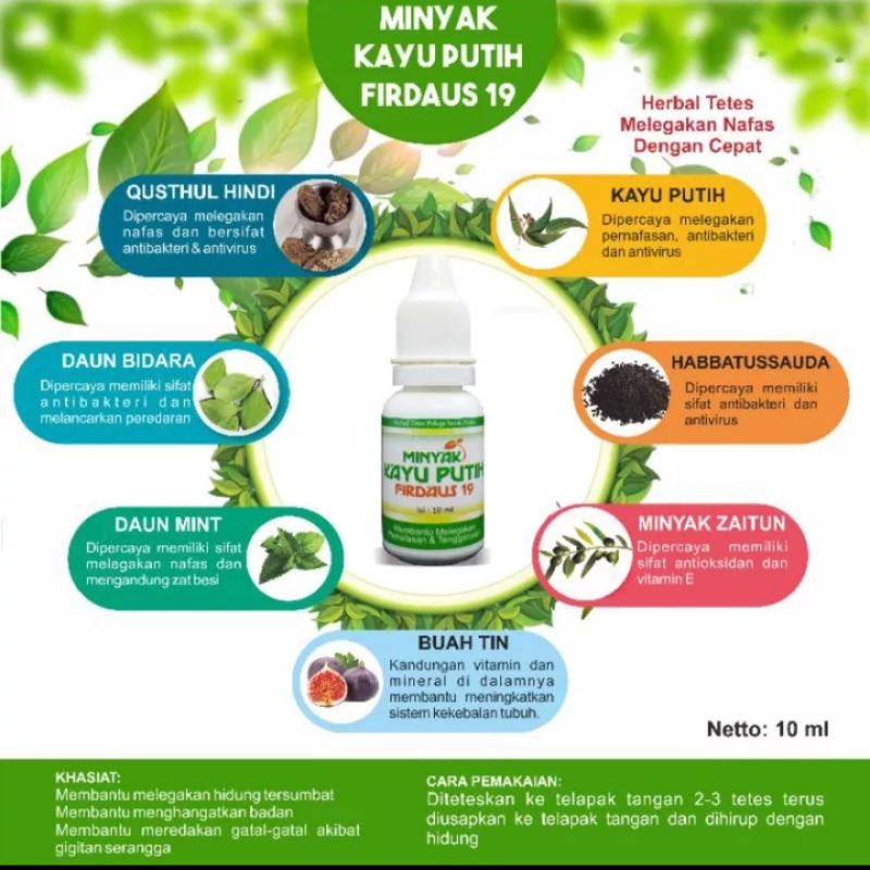 minyak kayu putih firdaus -19 qusthul hindi 10ml