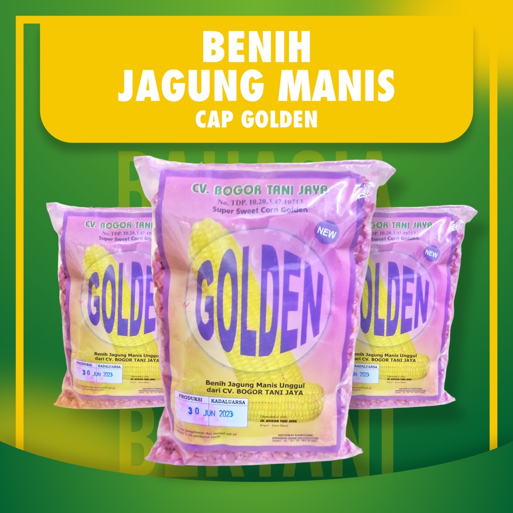 BENIH JAGUNG MANIS | Bibit Jagung Manis Cap Golden 500 Gram