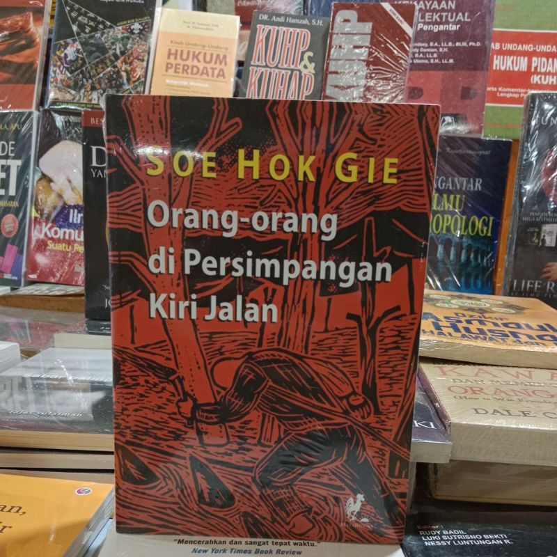 BUKU SOE HOK GIE ORANG-ORANG DI PERSIMPANGAN KIRI JALAN