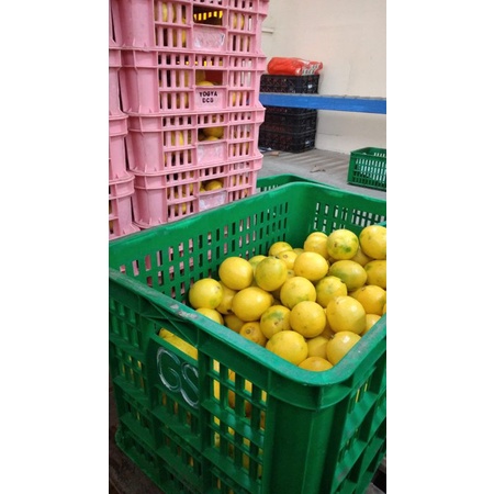 

Lemon