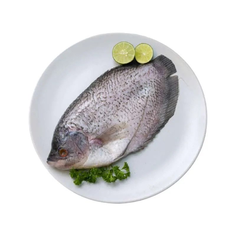 

Ikan Gurami ukuran 600-700gr