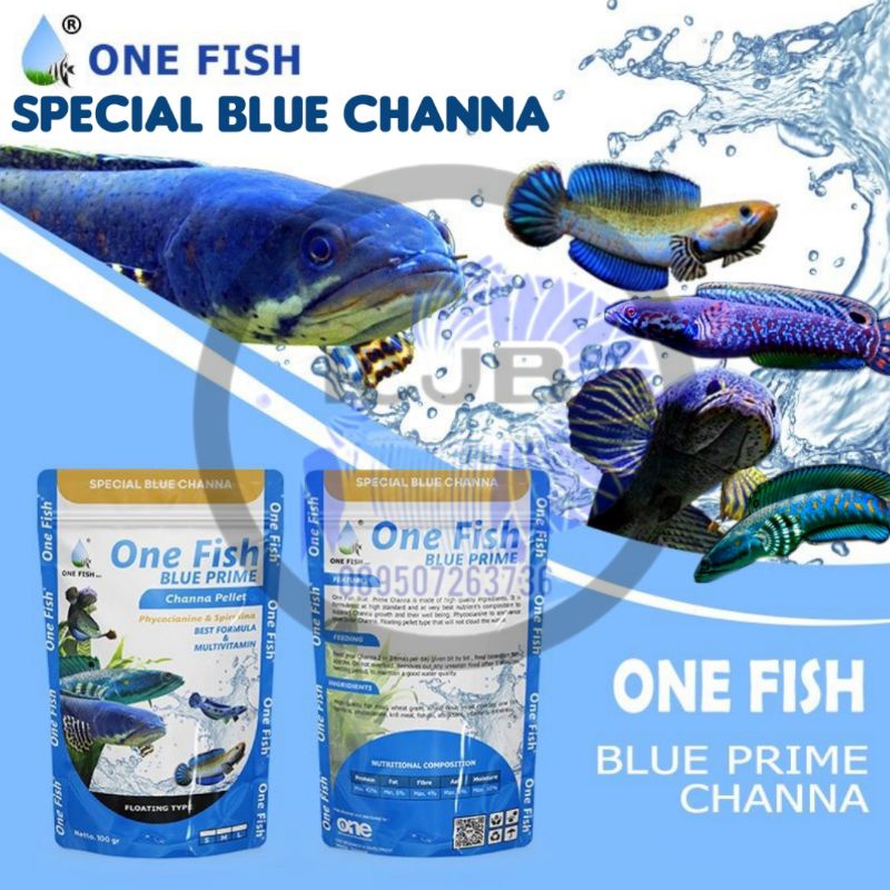 Pelet Channa, Special Blue Channa