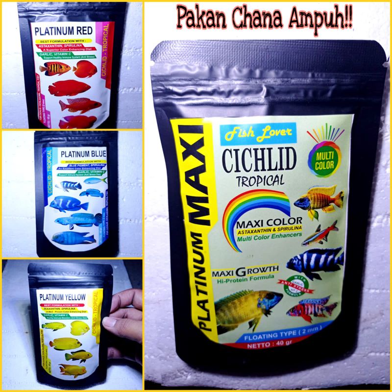 Pakan Chana Maxi Red Yellow Blue Chiclid Premium