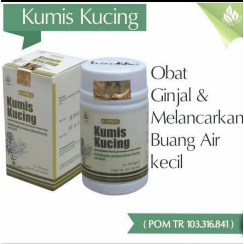 Kapsul Kumis Kucing Tazakka isi 60 kapsul original