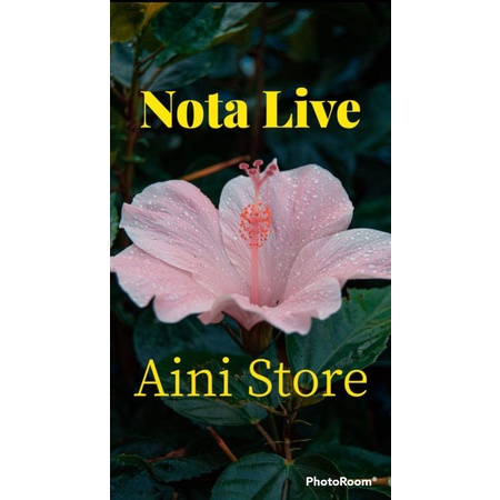 

Nota Live cantik