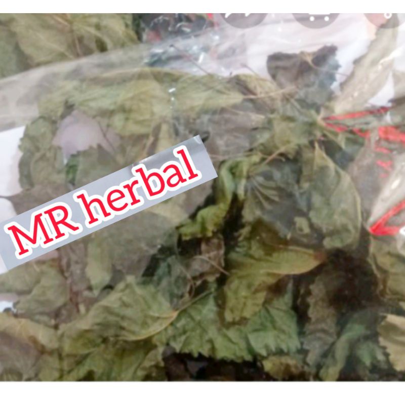 

Daun murbai babasaran kering asli bukan oven