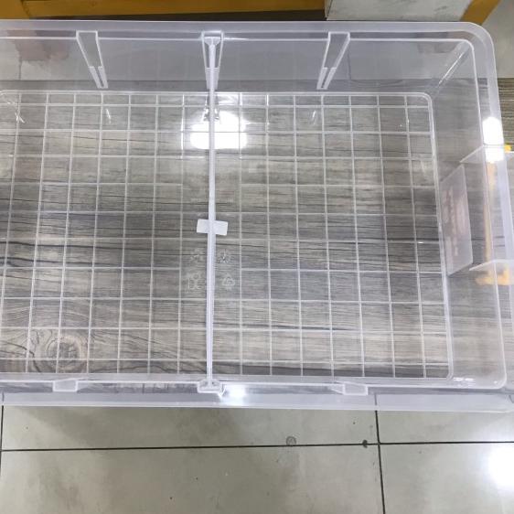 KANDANG KONTAINER SEKAT 4 GECKO SKINK PACMAN FROG SNAKE SULCATA ISTAR