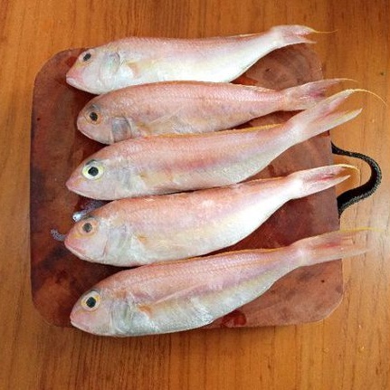 

Ikan Kuniran (frozen) 1/2kg | ikan murah | ikan segar | ikan laut | Surabaya