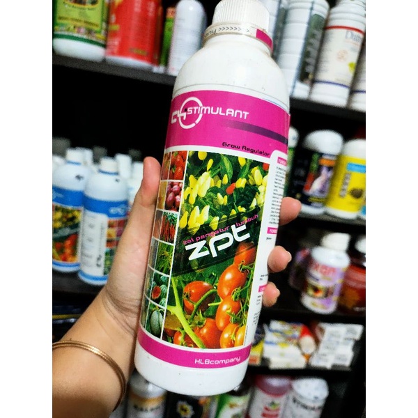 ZPT zat pengatur tumbuhan