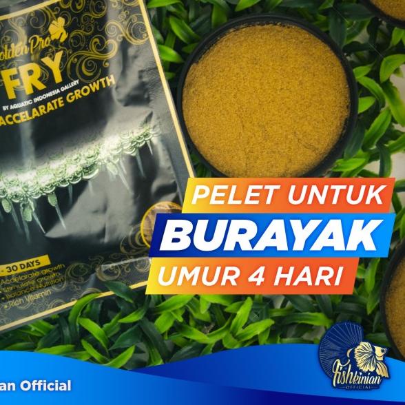 PELET IKAN CUPANG BETTA FISH - FRY UNTUK ANAKAN CUPANG