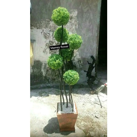 Bunga sudut ruangan Grassball