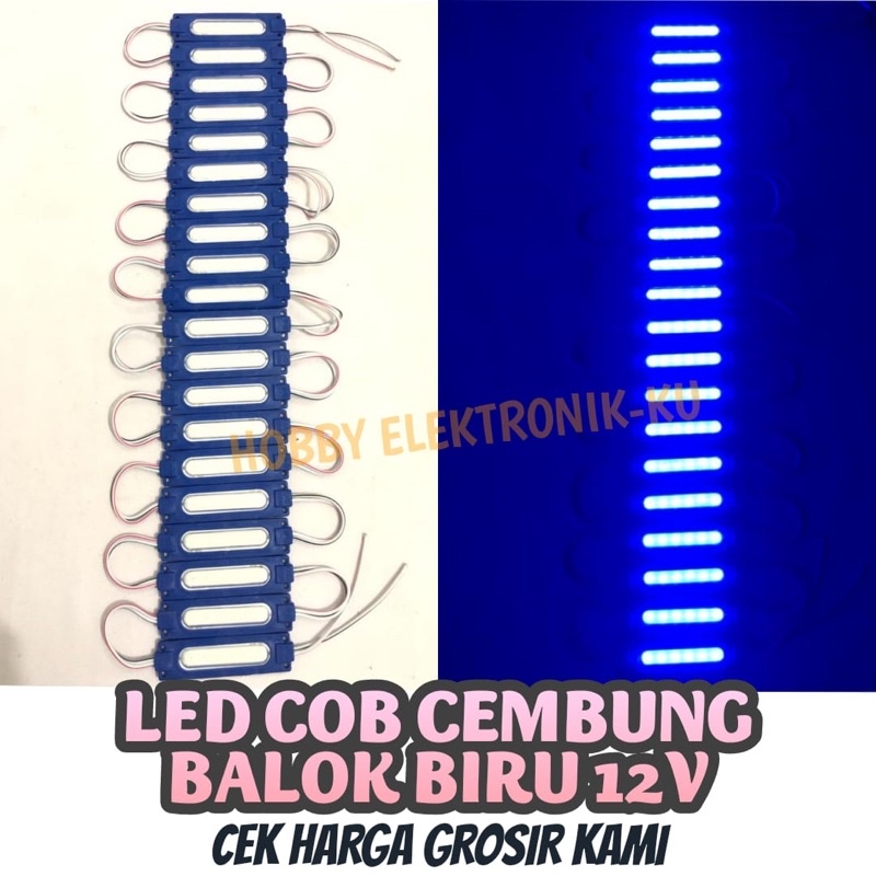 LAMPU LED STRIP MODULE COB 6MATA 12V BIRU