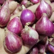 Bawang Merah Brebes Besar 1 Kg