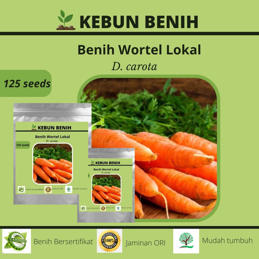 125 Benih Tanaman Sayur Wortel Lokal Kualitas Unggul