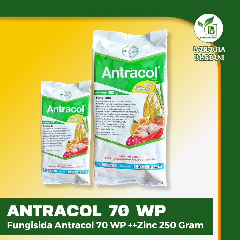 ANTRACOL 70 WP | Fungisida Antracol 70 WP ++Zinc 250 Gram