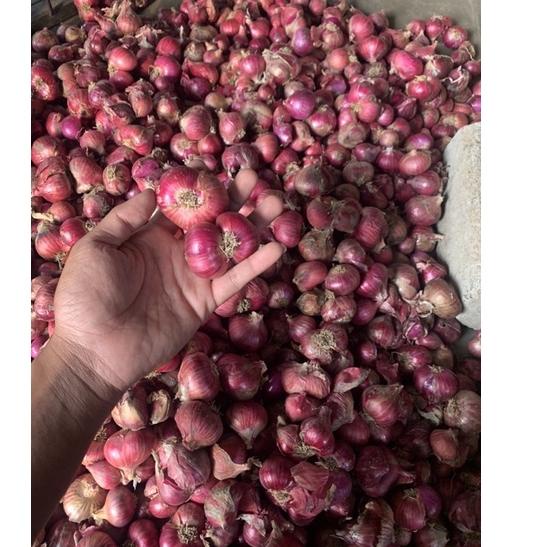 

ウ BAWANG MERAH kering ukuran SUPER + PACKING KARDUS プ