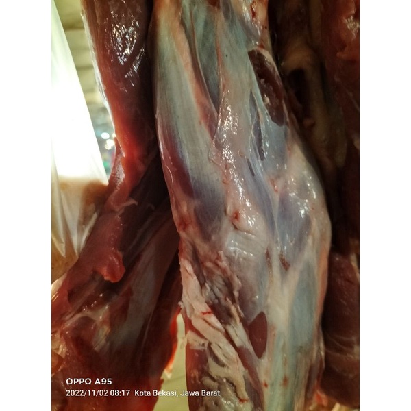 

Daging Kambing Baru Segar Fresh paha utuh 1kg