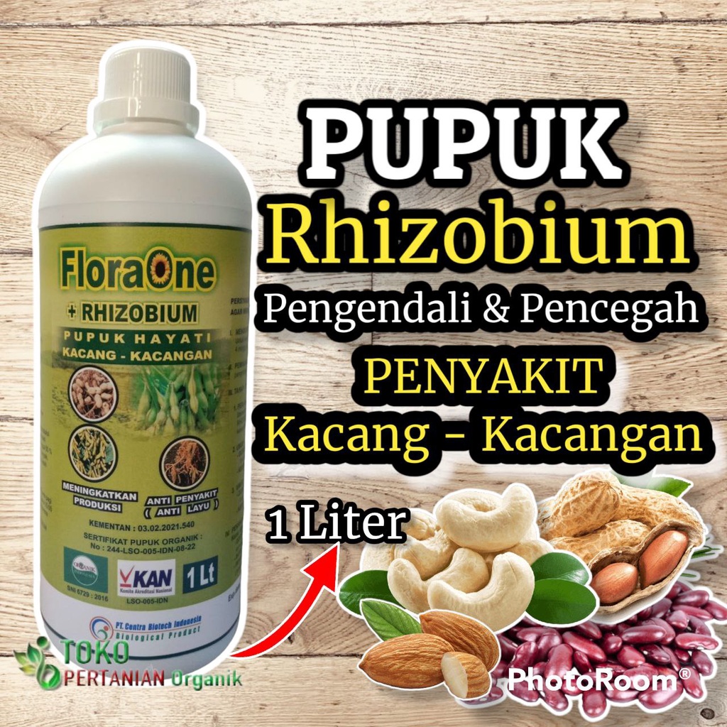 Pupuk Hayati Rhizobium cair kacang tanah yang bagus, Nutrisi Rhizobium Sp mengatasi layu Bakteri kac
