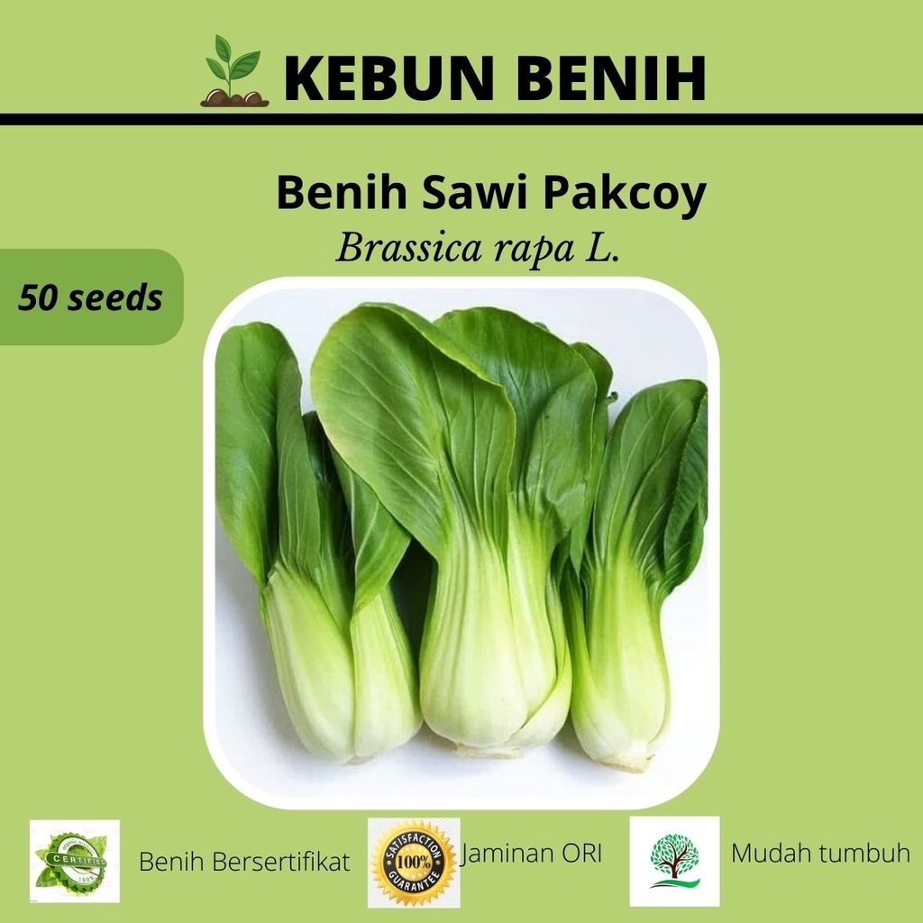 50 Benih Sawi Pakcoy Hijau/ Sawi Daging/ Benih Sawi Sendok Kualitas Unggul