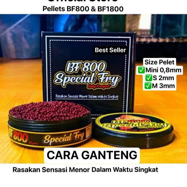 PELET BF1800 & BF800 STRONG COLOR BIG HEAD PAKAN LOHAN LOUHAN TERBAIK - BF800, Mini