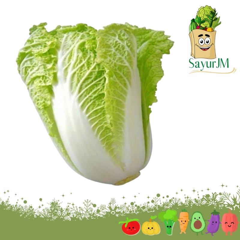 

SayurJM - Sawi Putih 500gr dan 1000gr / Sayur Segar / Sayuran Segar
