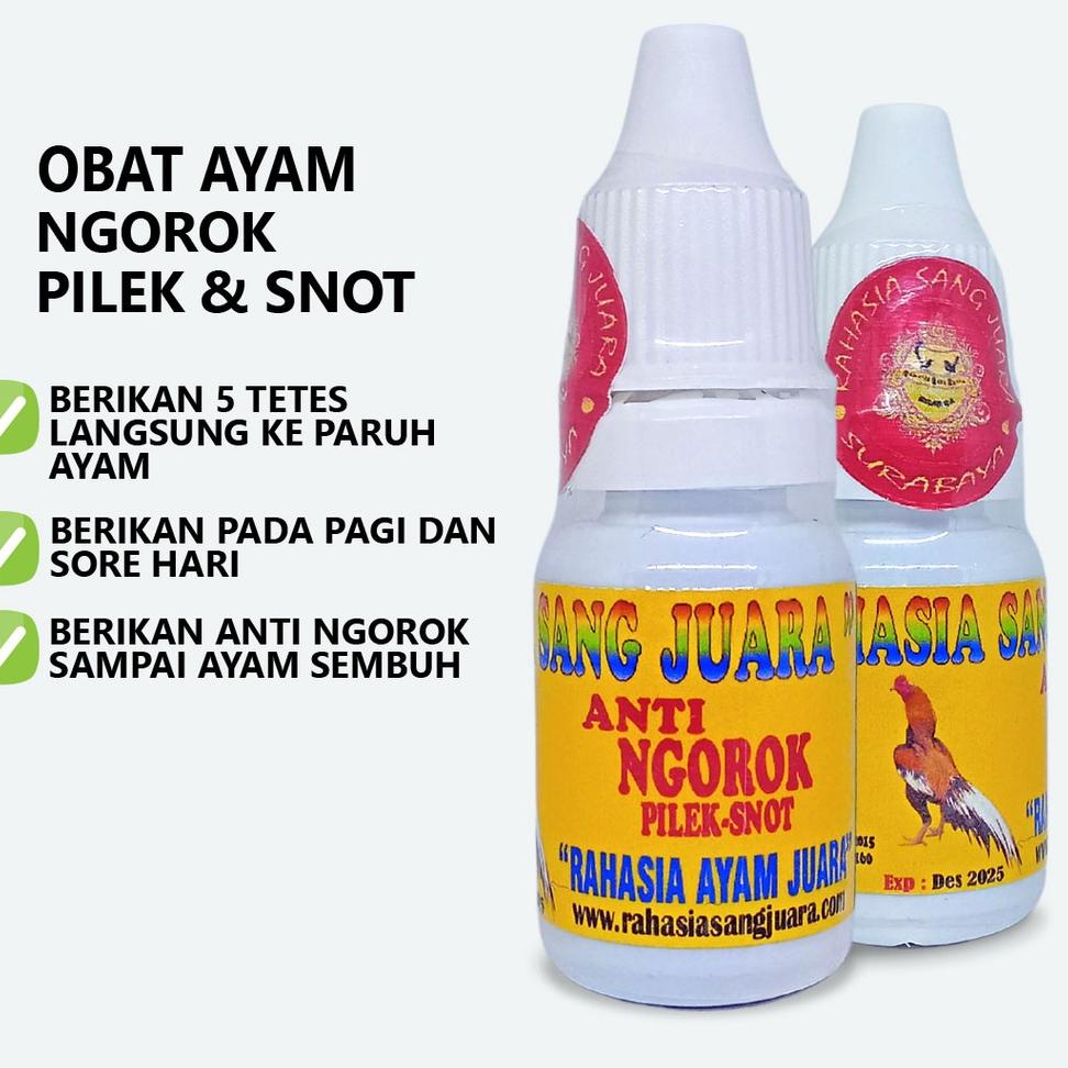 ㅑ OBAT AYAM NGOROK DAN PILEK OBAT NGOROK AYAM BANGKOK AMPUH MENGATASI AYAM NGOROK DAN PILEK あ