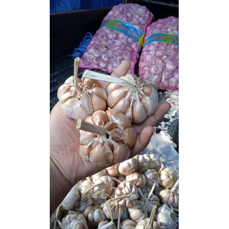 

Bawang putih
