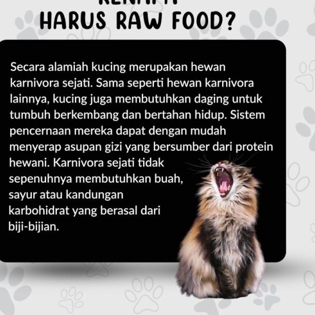 Ali Cat Raw Food Beef & Chicken 500gr - Rawfood Daging Dan Ayam Kucing